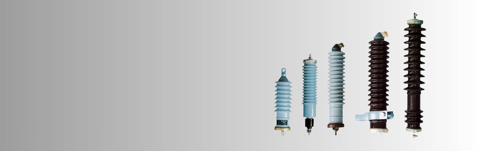 ZHONGSHAO Your Reliable Metal Oxide Arrester Manufacturer In China