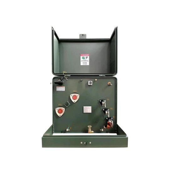 Custom Pad Mounted Transformer